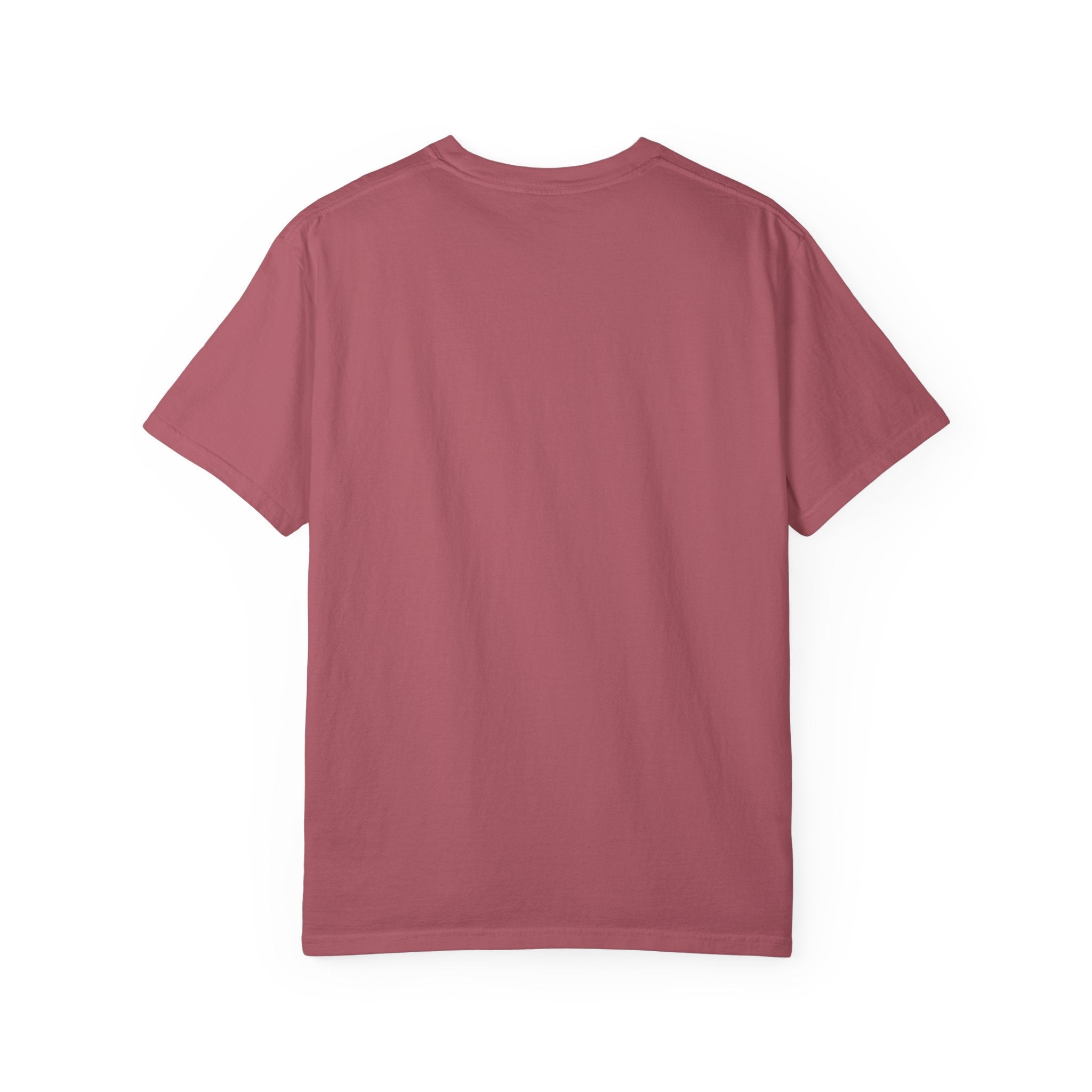 Flytanium - Fly or Die Graphic T-Shirt | Full Color