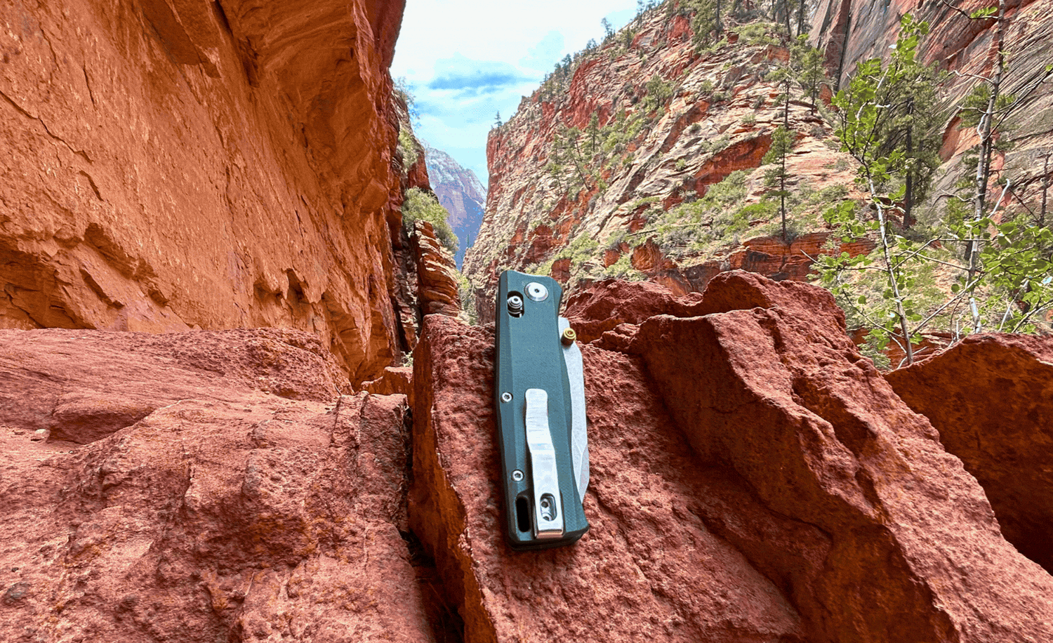 Explore with BEEF™